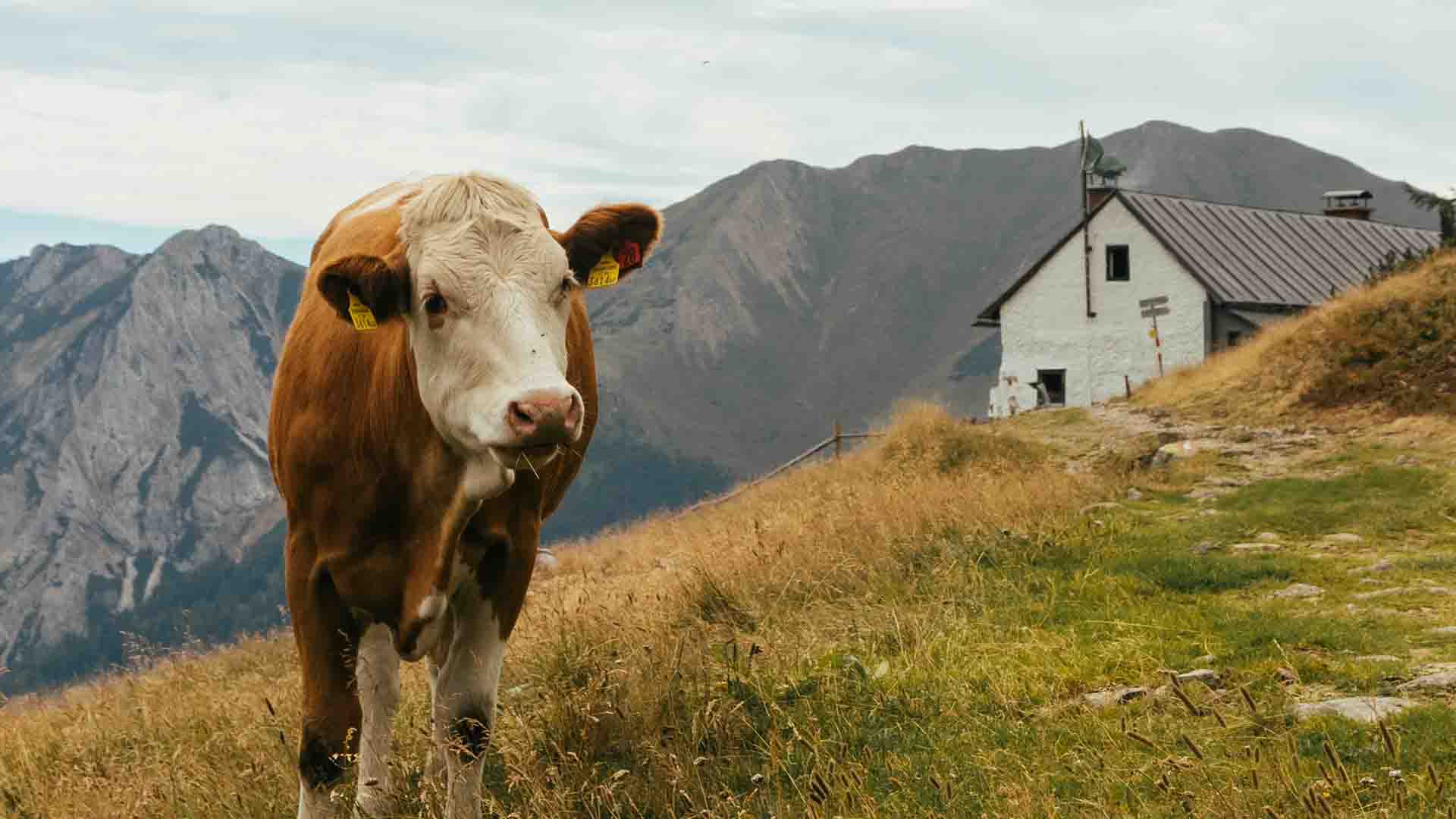 Natur & Ausflüge